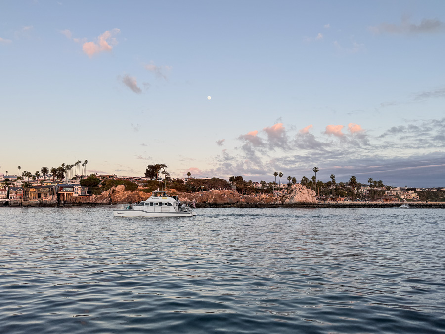 2026-01-01 Balboa With The Duda's