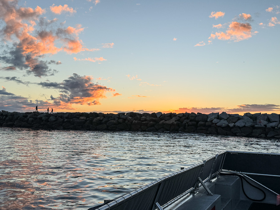 2026-01-01 Balboa With The Duda's