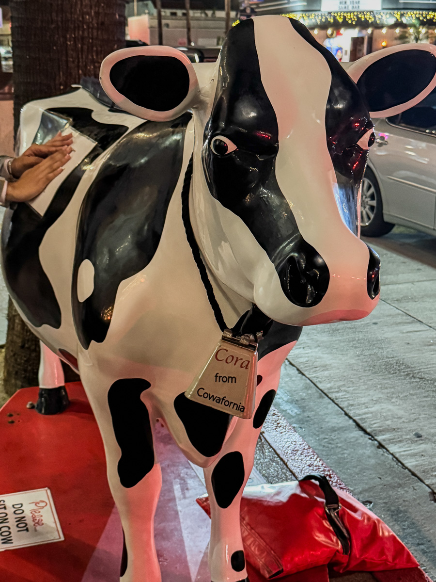 2026-01-01 Balboa With The Duda's