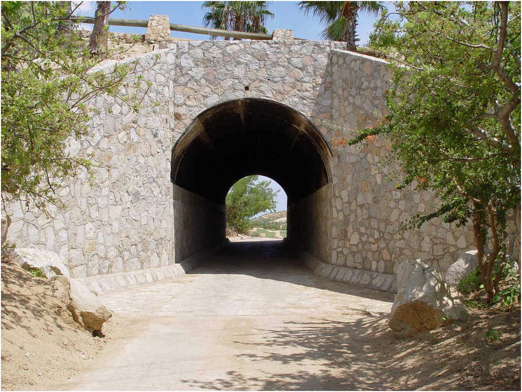 Golf In Cabo San Lucas