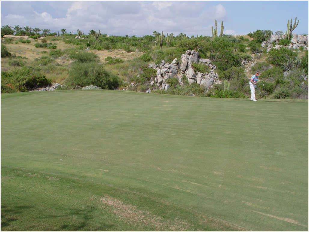 Golf In Cabo San Lucas