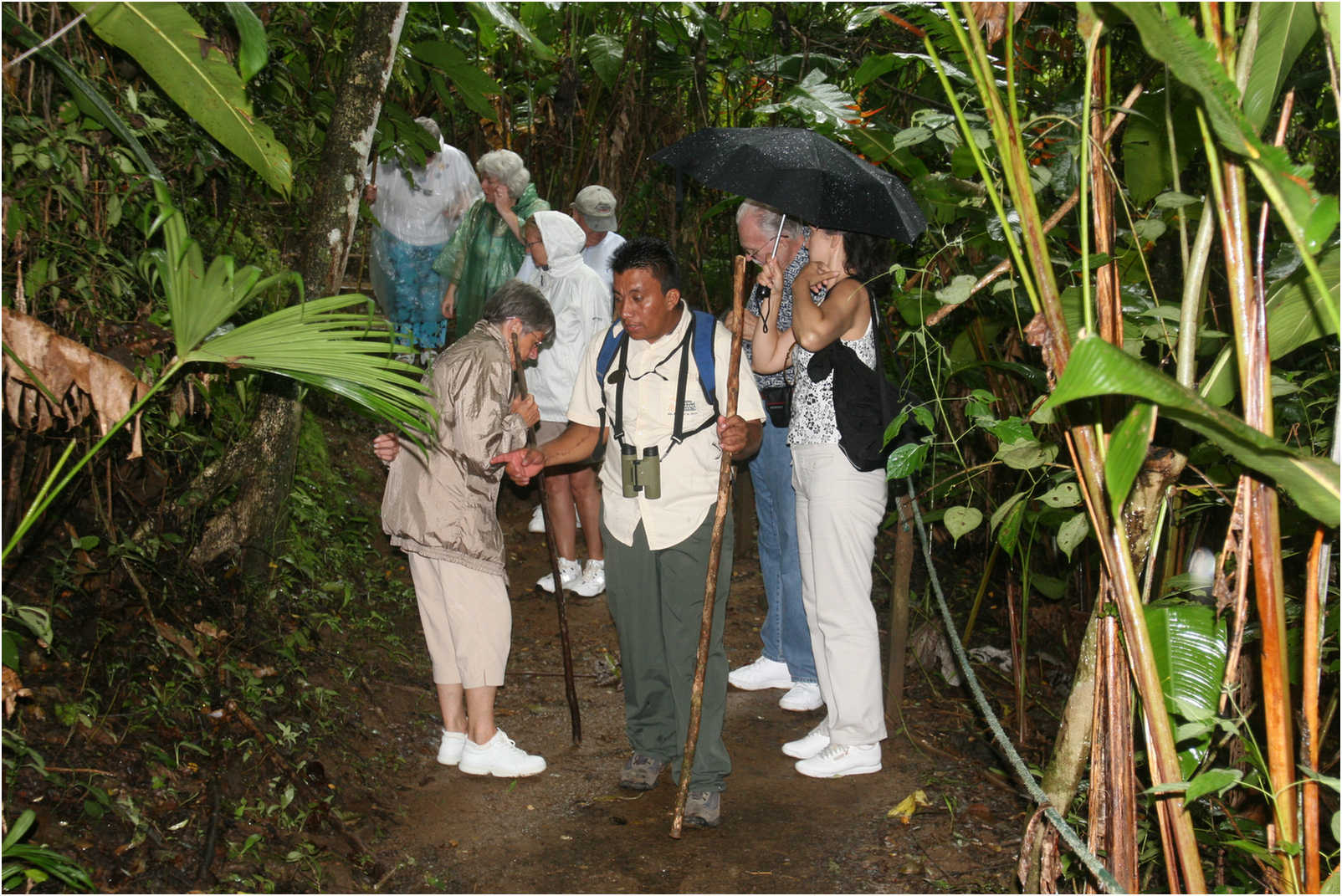 Puntarenas Suspension Bridges