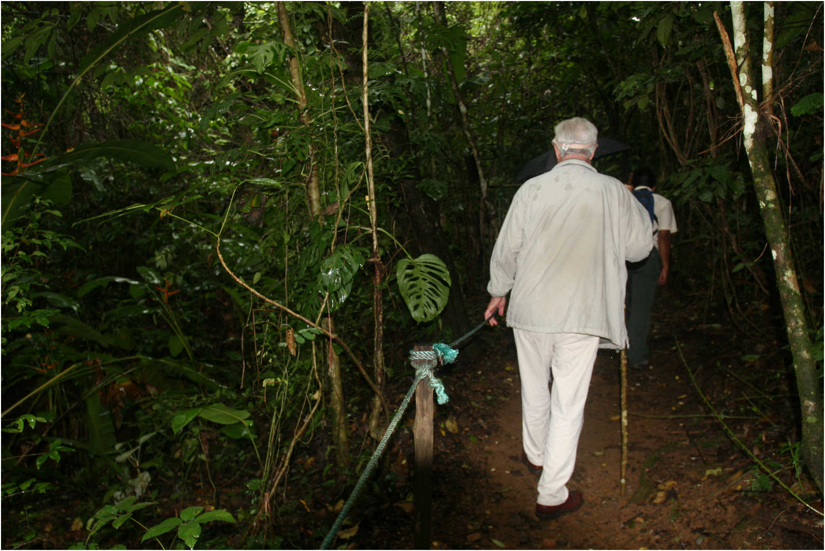 Puntarenas Suspension Bridges