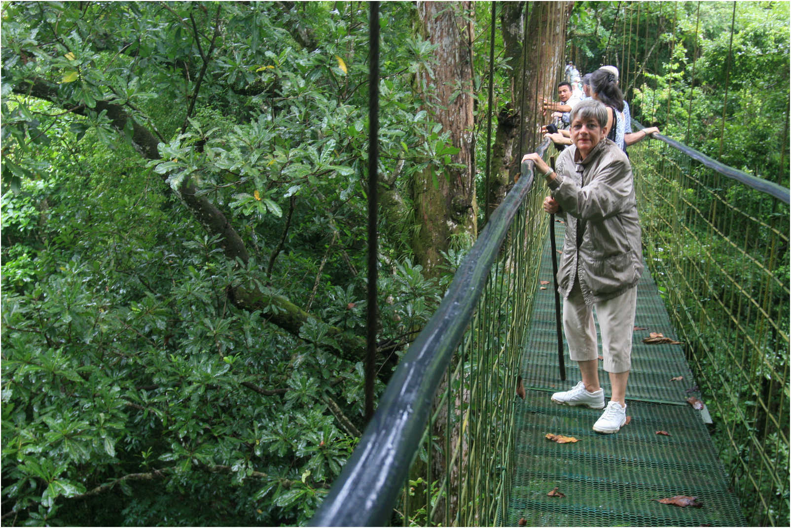 Puntarenas Suspension Bridges