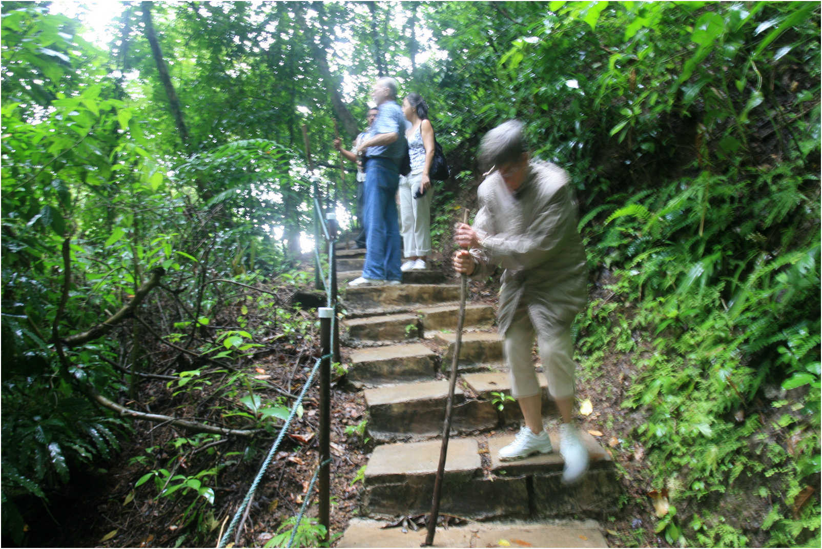 Puntarenas Suspension Bridges