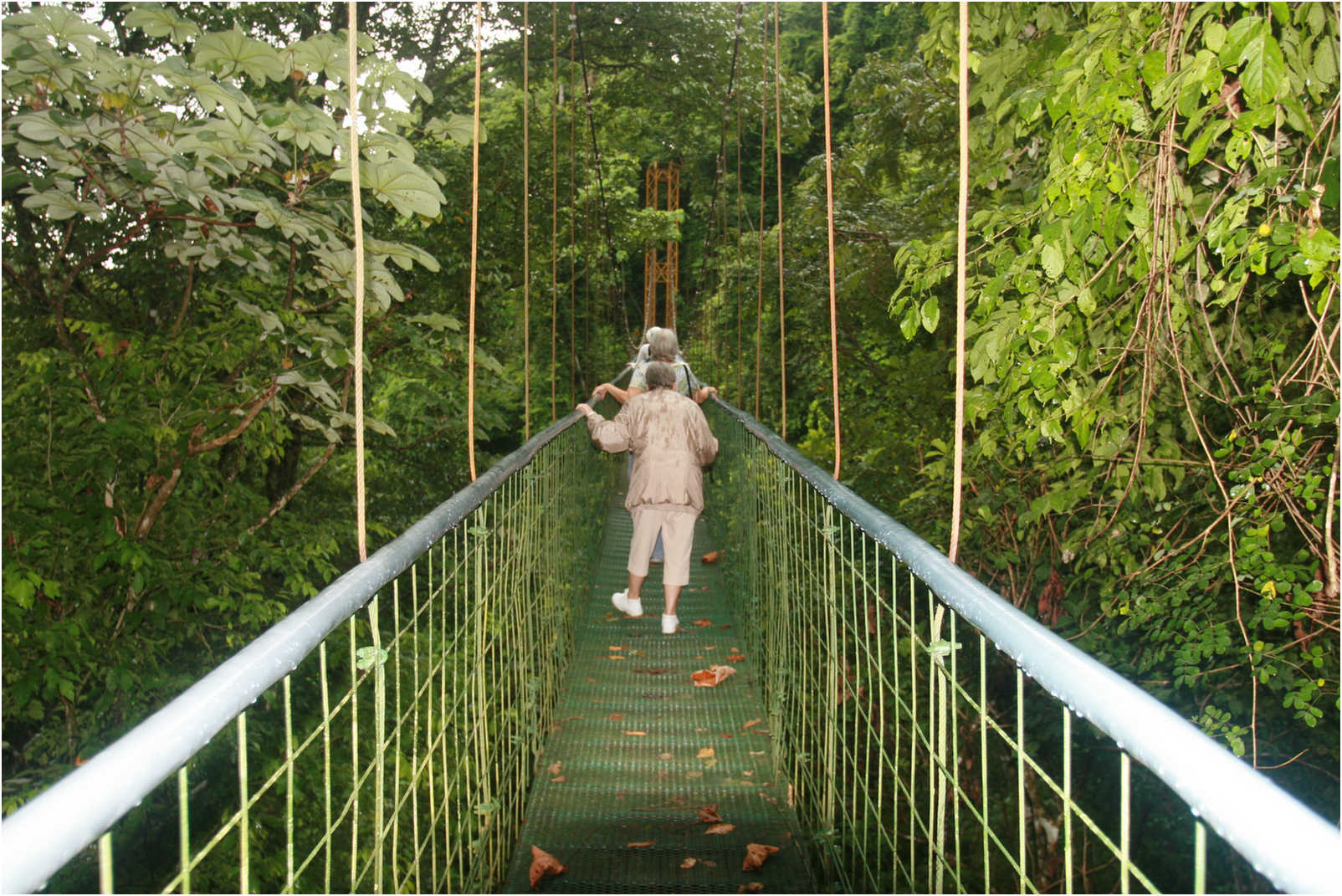 Puntarenas Suspension Bridges