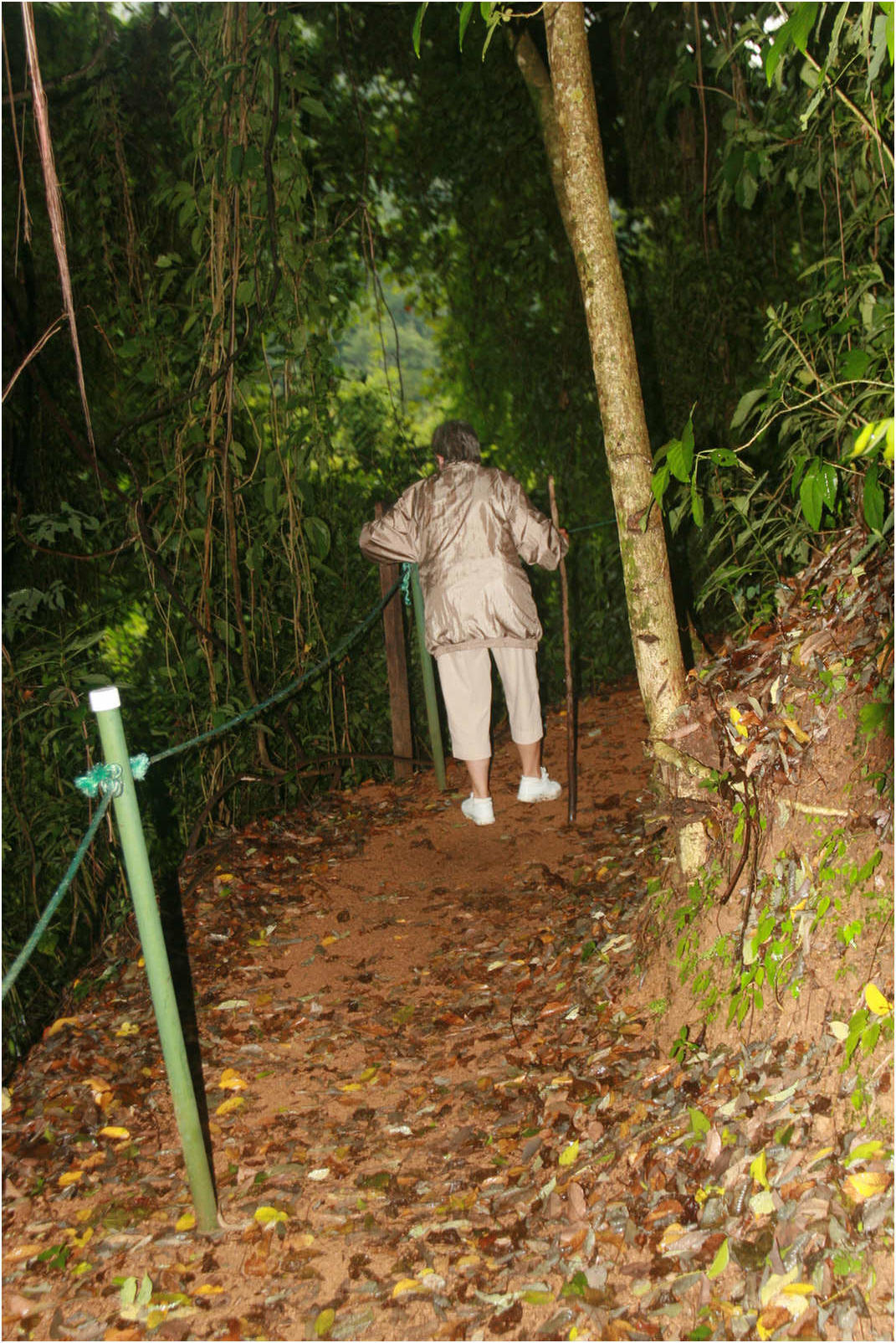 Puntarenas Suspension Bridges