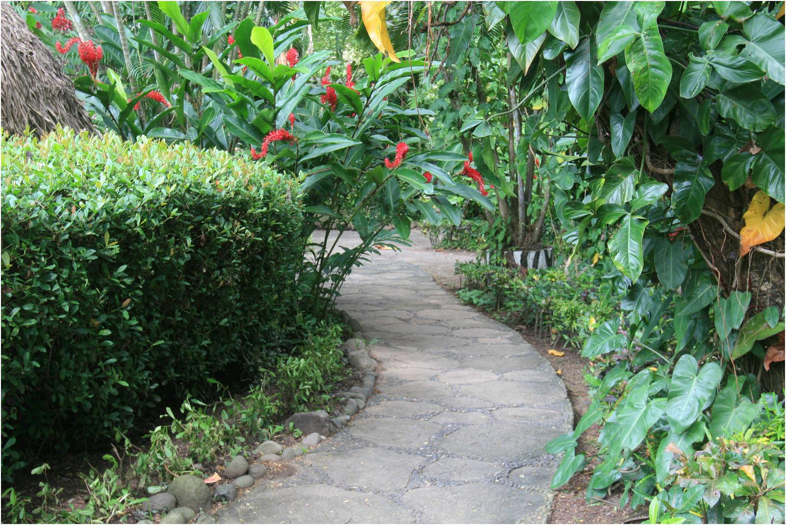 Gualemala's Walk Through Zoo