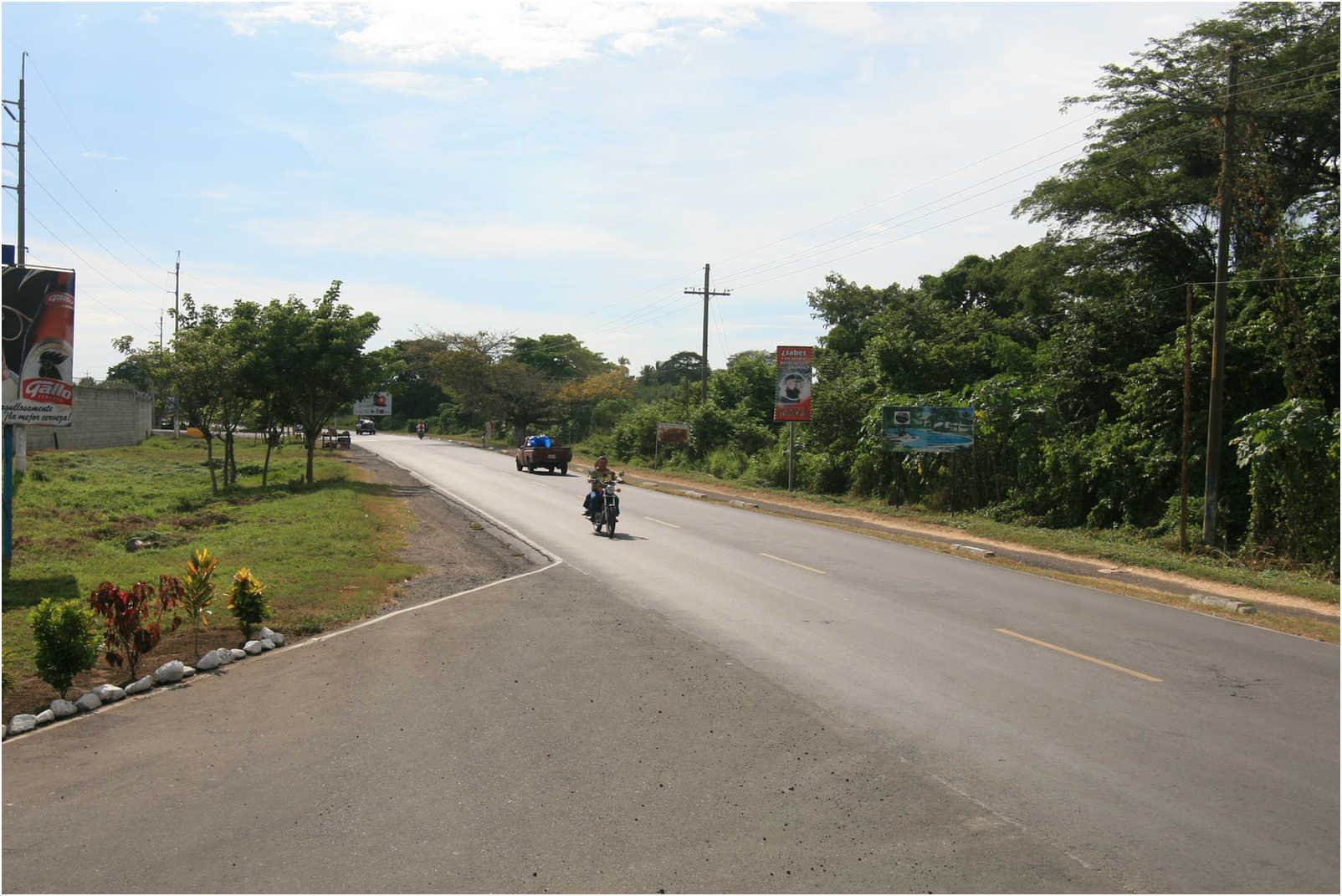 Guatemala's Walk Through Zoo