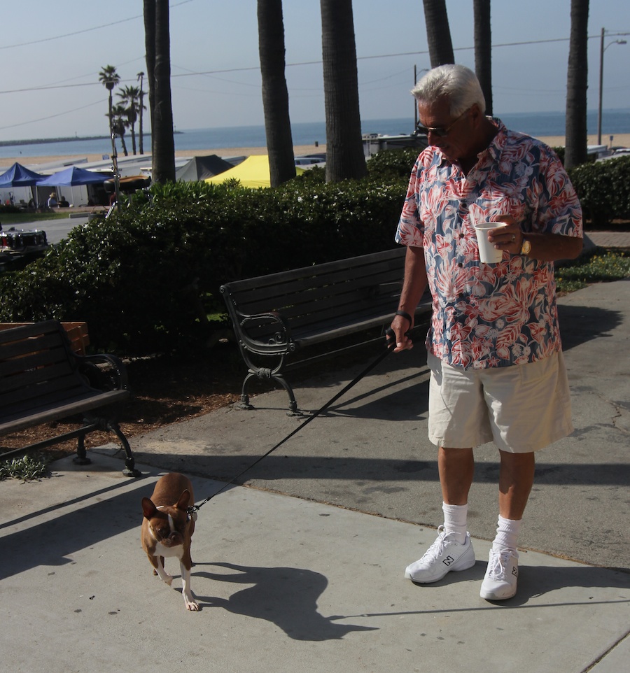 Seal Beach Car Show 2013