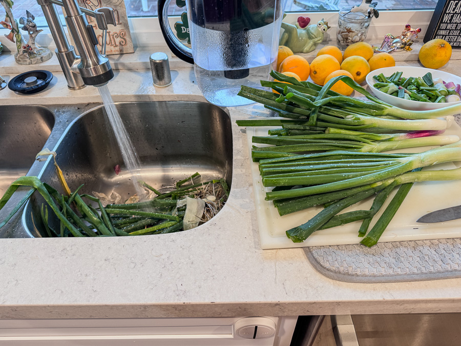 2026-03-14 St Patrick's Day Dinner With Family & Friends