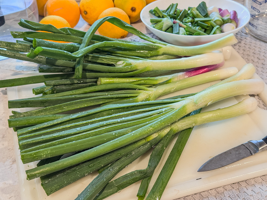 2026-03-14 St Patrick's Day Dinner With Family & Friends