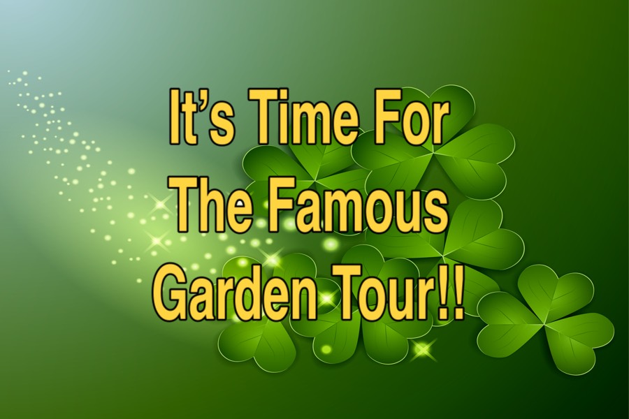 2026-03-14 St Patrick's Day Dinner With Family & Friends