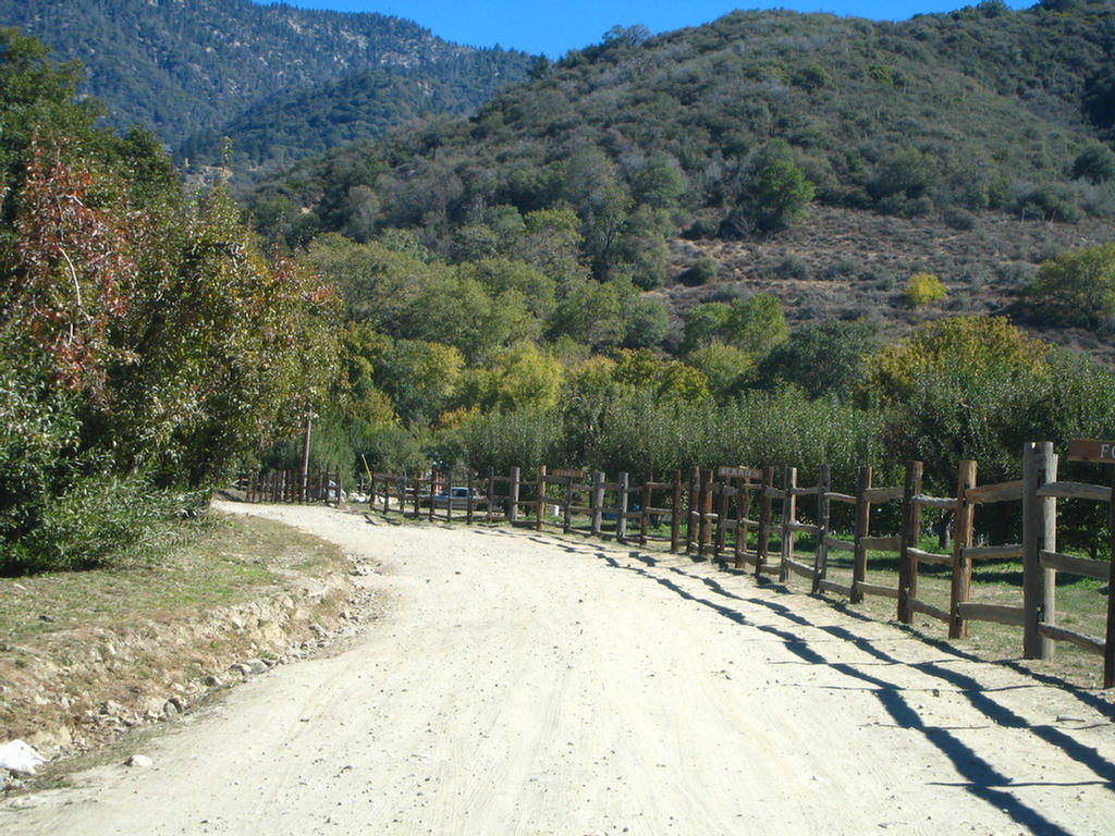 Apple Picking 2007