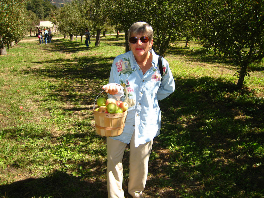 Apple Picking 2007