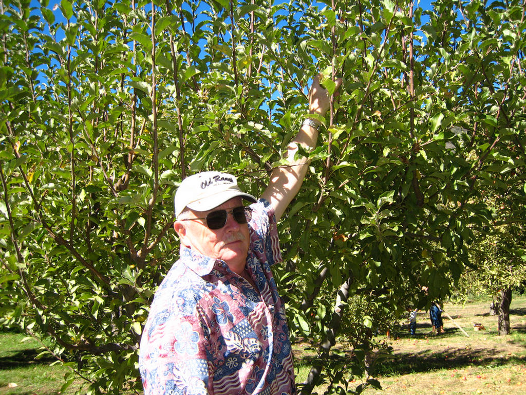 Apple Picking 2007