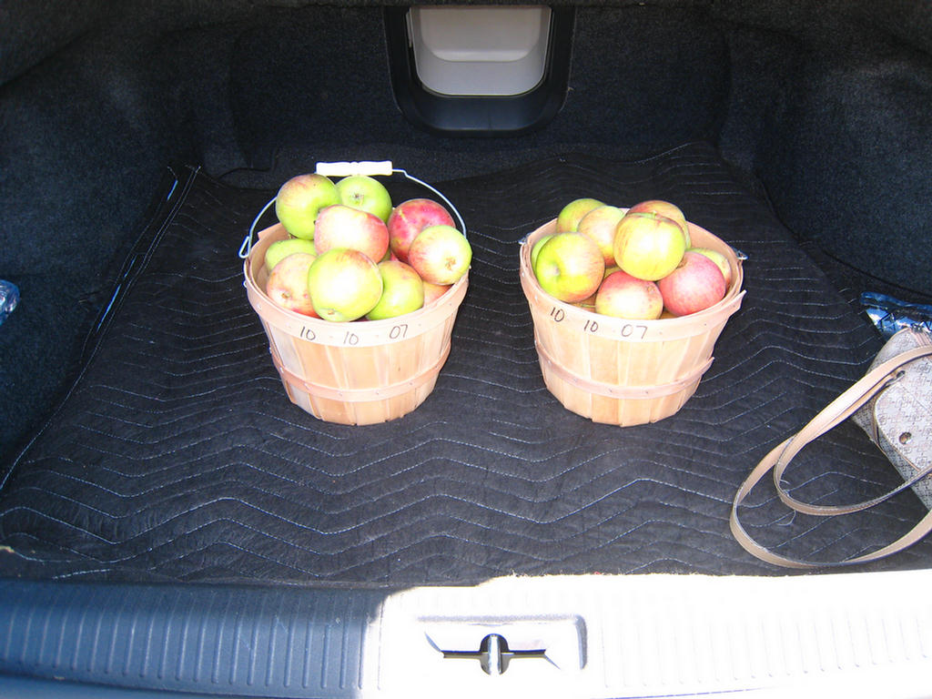 Apple Picking 2007