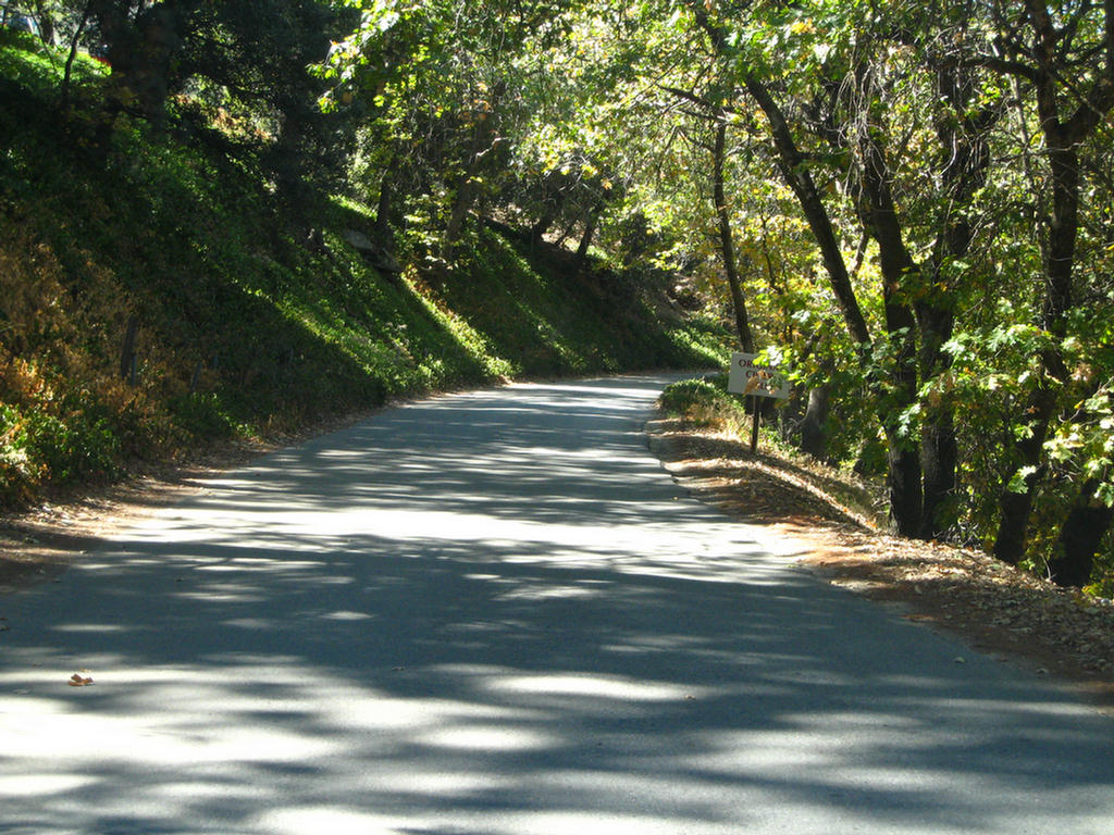 Apple Picking 2007