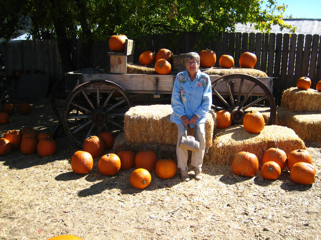 Apple Picking 2007