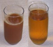 Cider Versus Juice