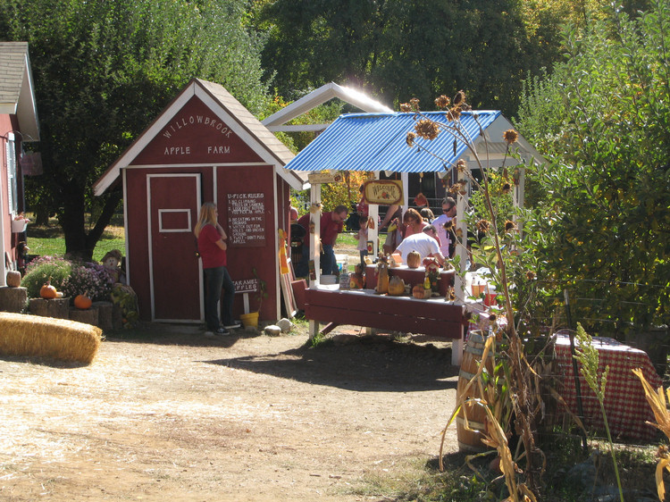 Apple Picking 2009