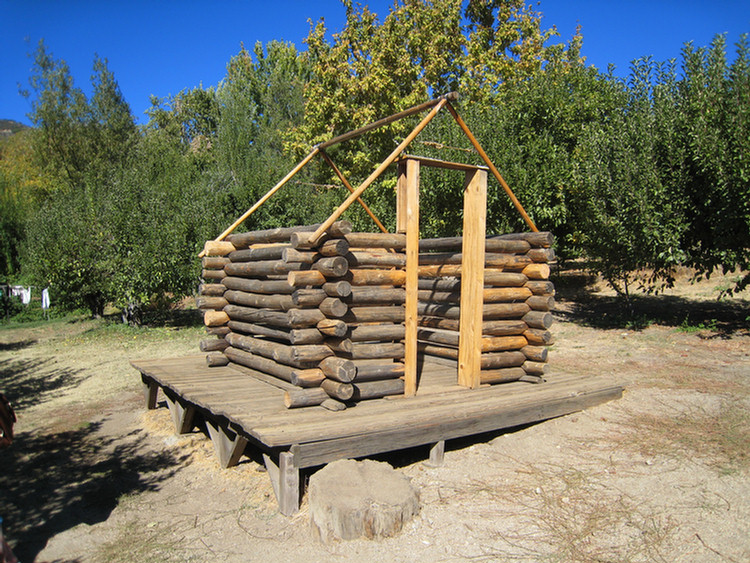 Apple Picking 2009