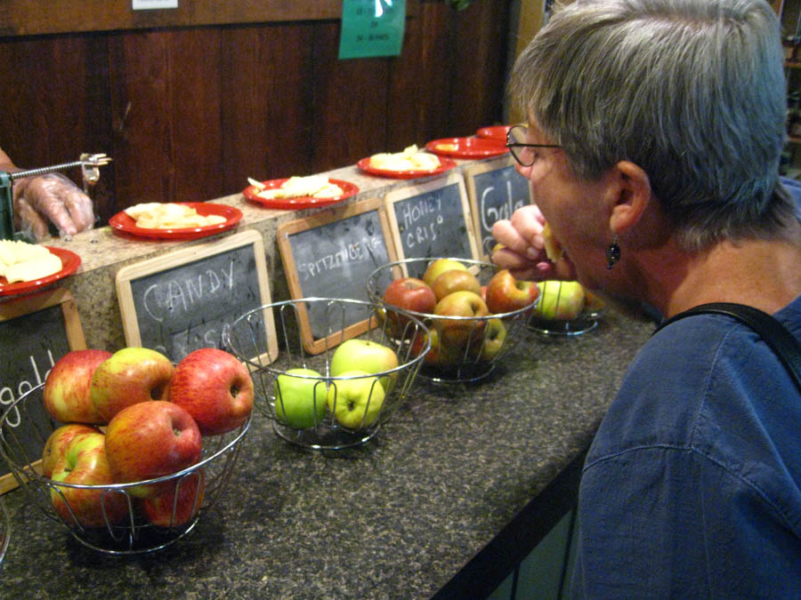 Apple picking in Oak Glen California October 2014