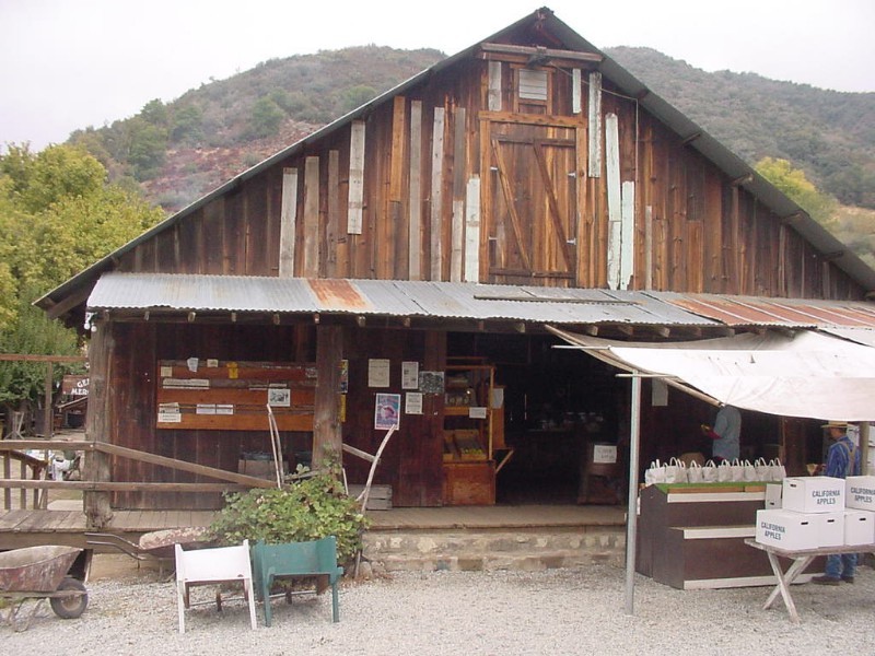 Old Juicing Packing Shed