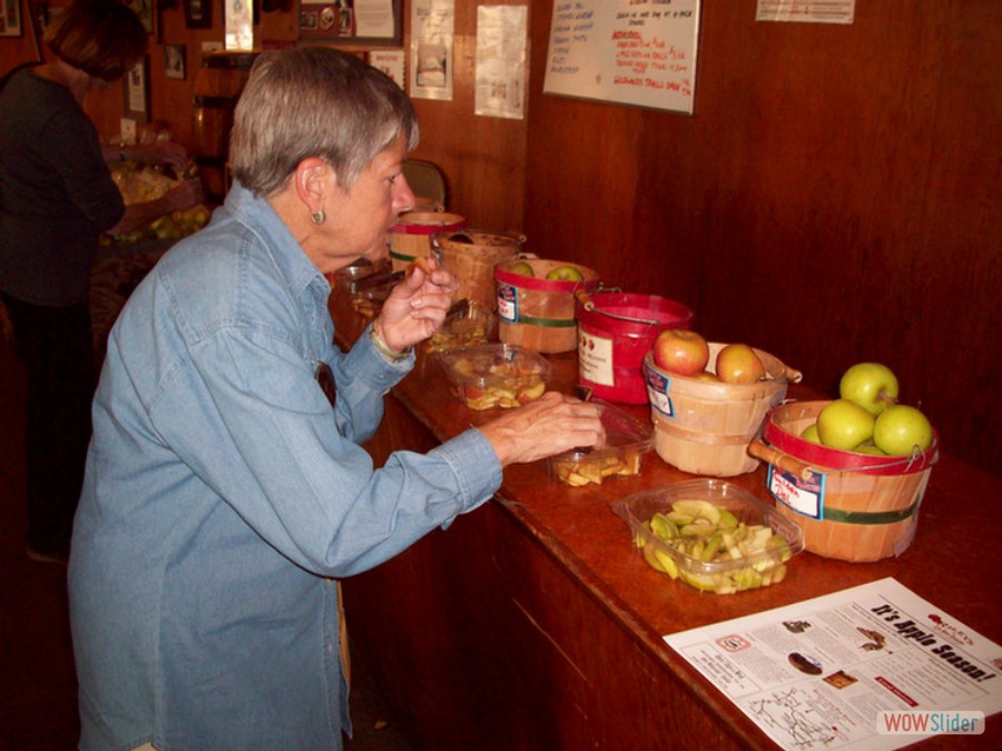 TAsting Is Important (2008)