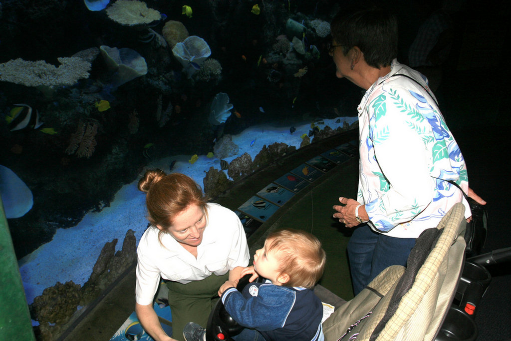 Theo's First Aquarium Visit