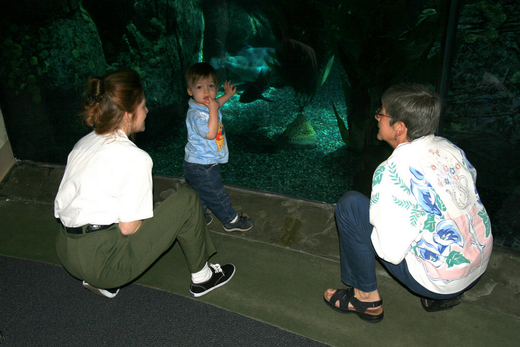 Theo's First Aquarium Visit