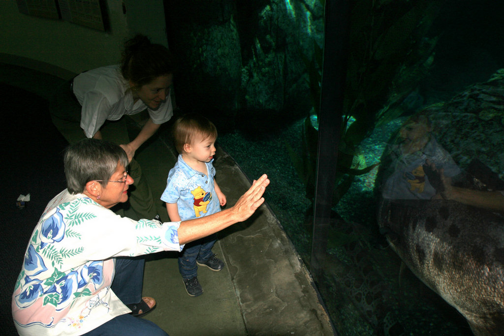 Theo's First Aquarium Visit