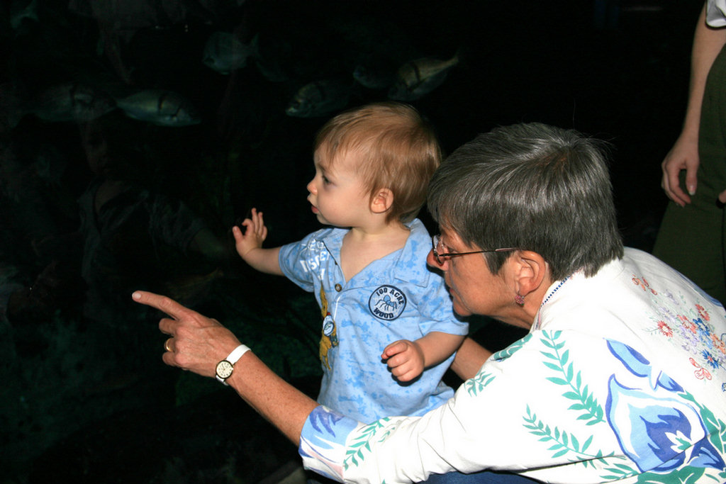 Theo's First Aquarium Visit