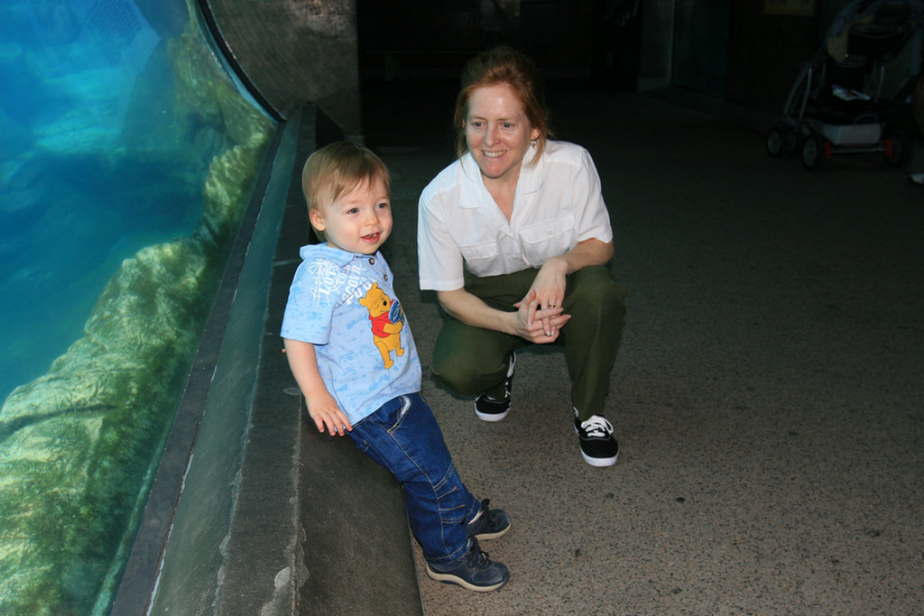 Theo's First Aquarium Visit