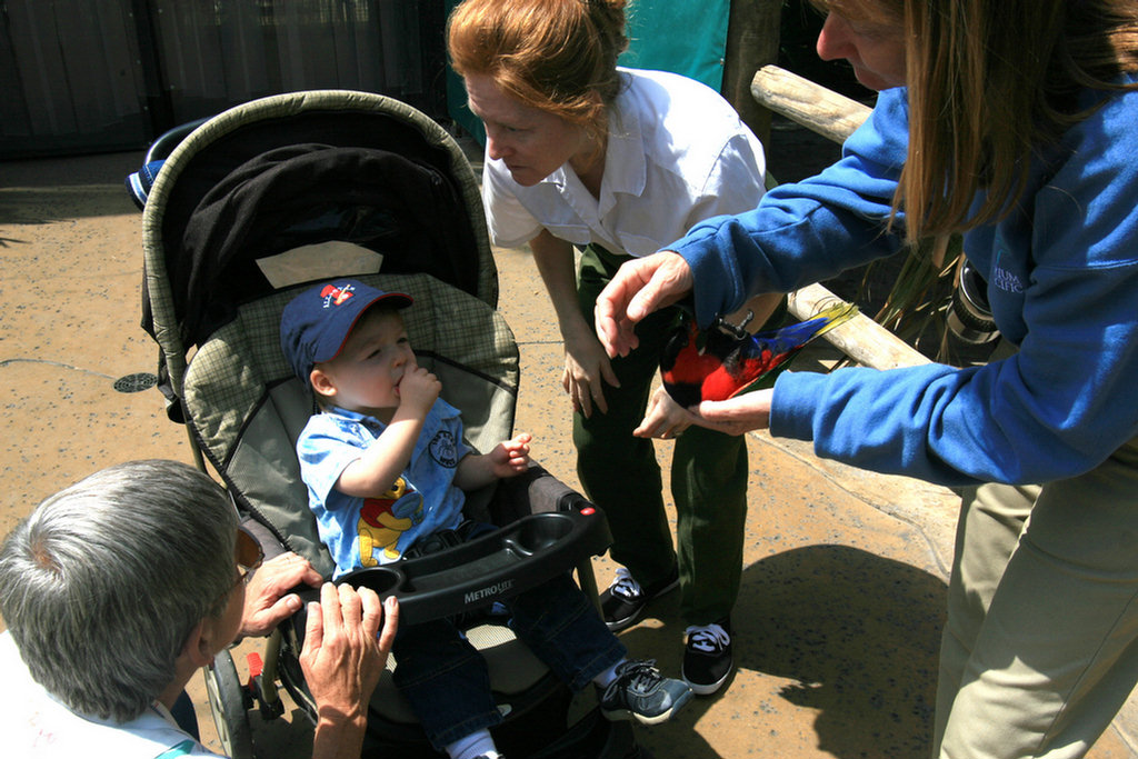 Theo's First Aquarium Visit