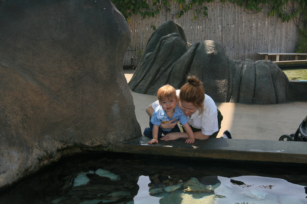 Theo's First Aquarium Visit