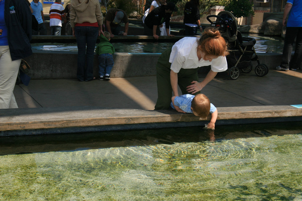 Theo's First Aquarium Visit