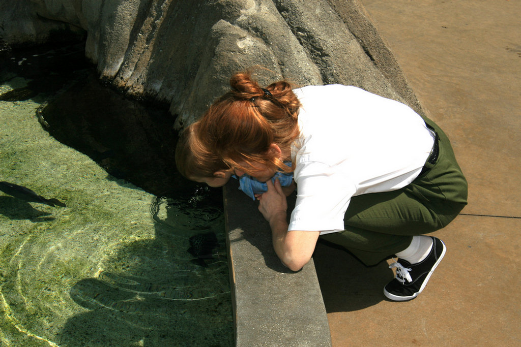 Theo's First Aquarium Visit