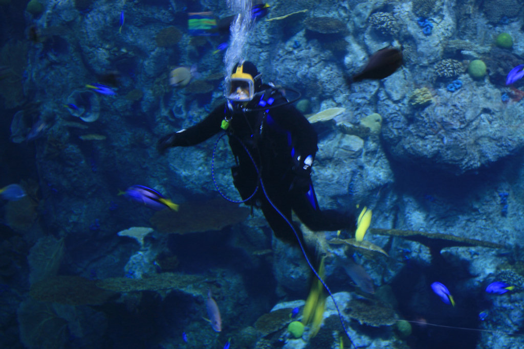 Theo's First Aquarium Visit