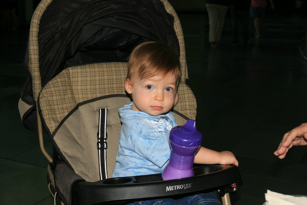 Theo's First Aquarium Visit