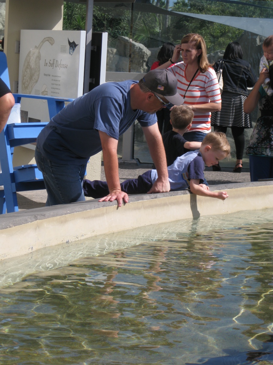 Lunch and the Aquarium with family 9/21/2013