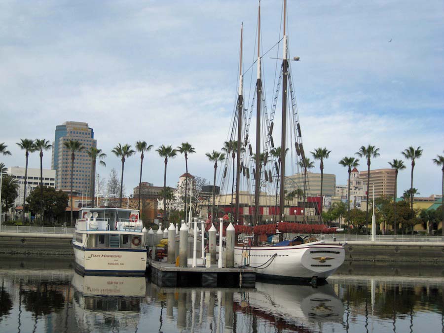 Aquarium and harbor cruise 2/27/2014