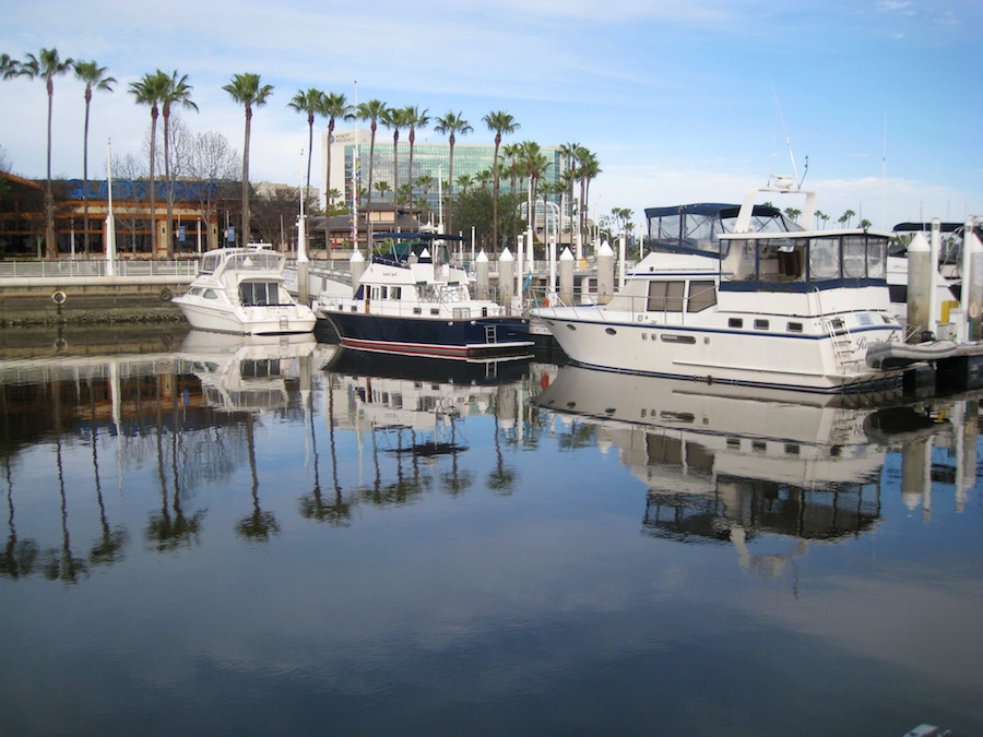 Aquarium and harbor cruise 2/27/2014