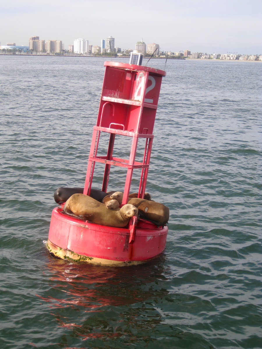 Aquarium and harbor cruise 2/27/2014