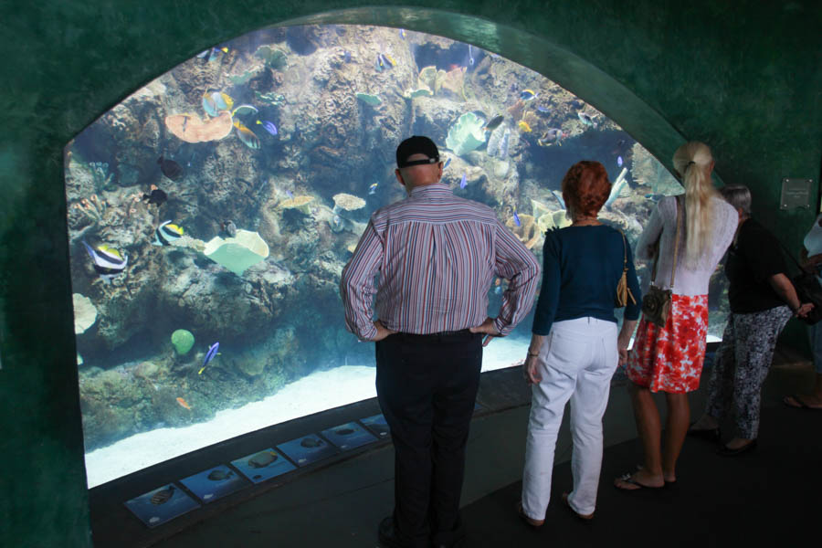 Aquarium Of The PAcific With Friends September 2014