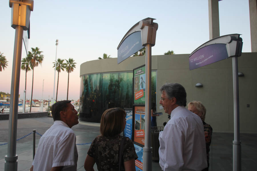 Prom Night at the aquarium 3/26/2015