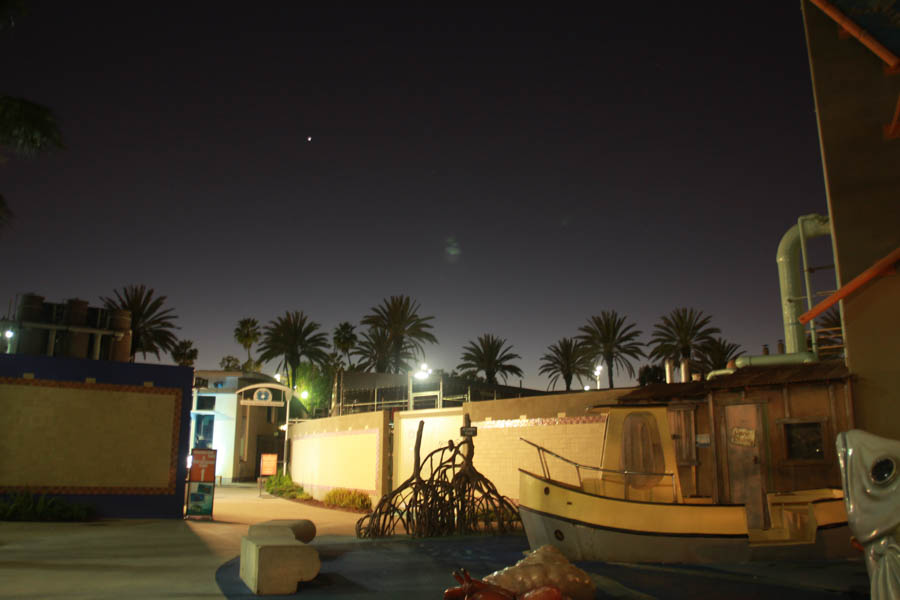 Prom Night at the aquarium 3/26/2015