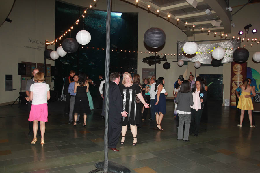 Prom Night at the aquarium 3/26/2015