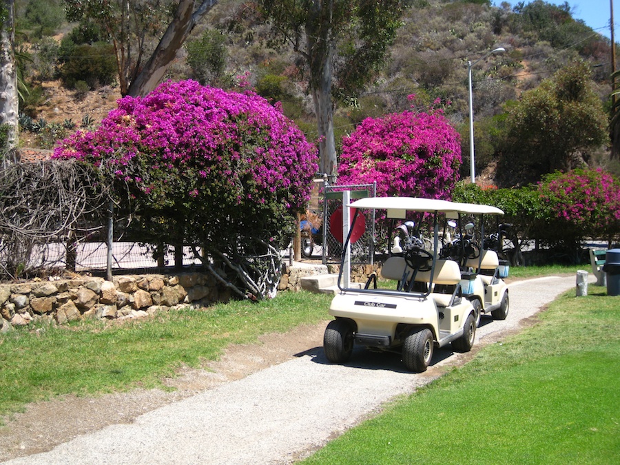 Playing golf Saturday morning during the  Avalon Ball Weenend