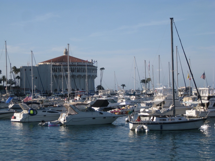 Friday afternoon in Avalon on the sun deck May 2014